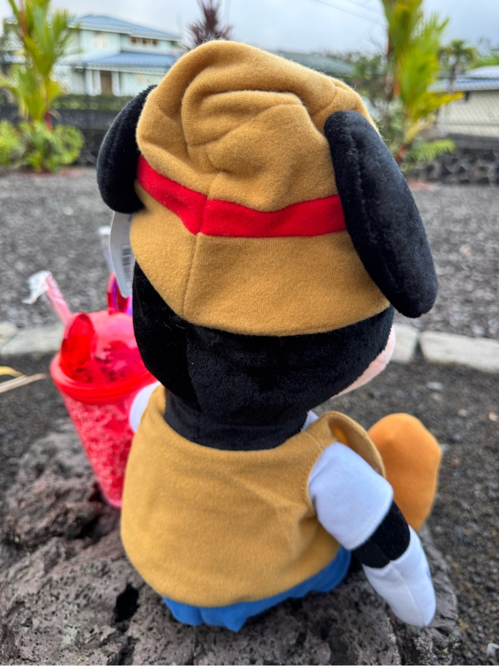 Disneyland Resort Mickey Mouse Plush & Mickey Ear Tumblers Bundle - Picture 9 of 9